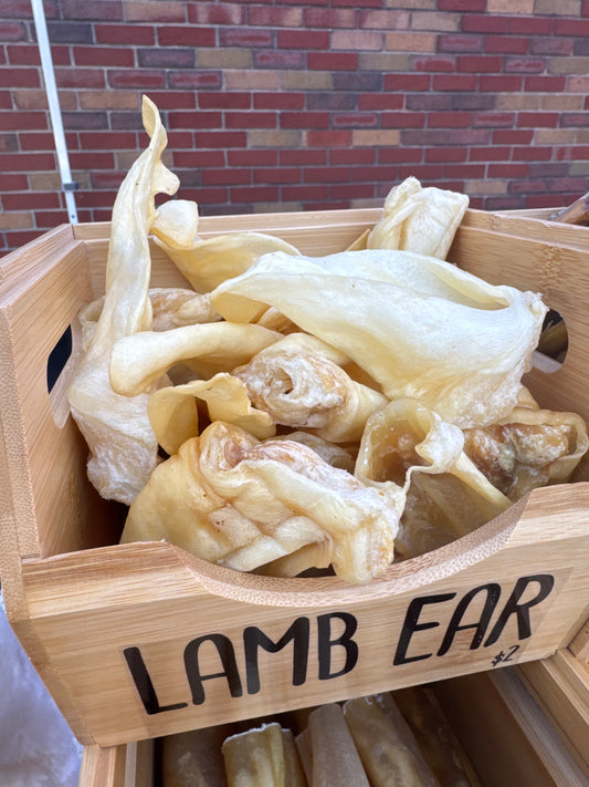 Lamb Ear