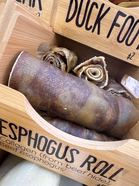 Esophagus Roll
